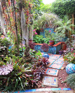 Kevin Kilsby's Garden